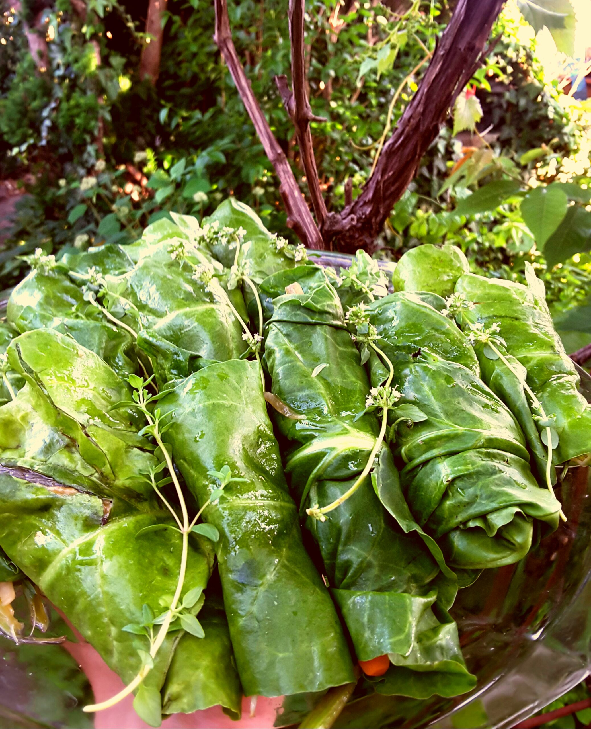 pak_choi
